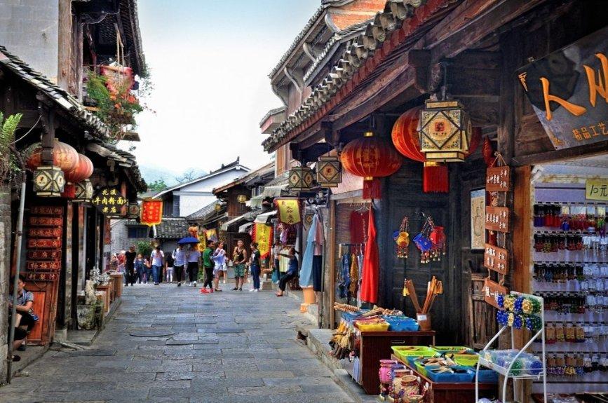 动物帮帮忙保卫家园